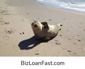 Business Loans in Far Rockaway New York